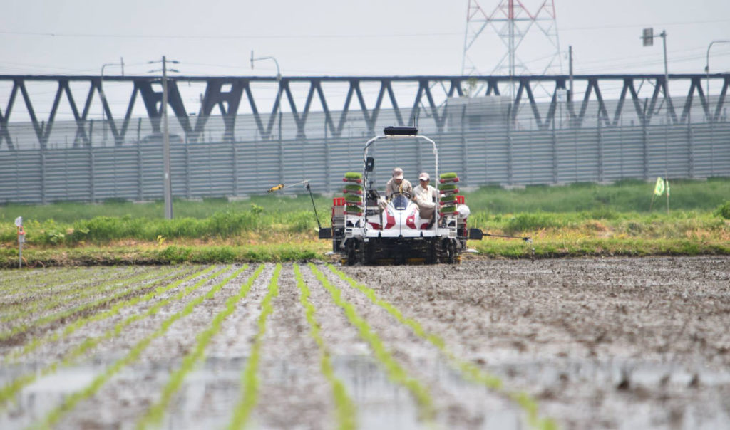 We practice "Smart Agriculture" every day, right from first plowing of the farm land to planting and harvesting. We continue our testing by keeping close eye on factors including how much efficiency was achieved since adopting "Smart Agriculture".