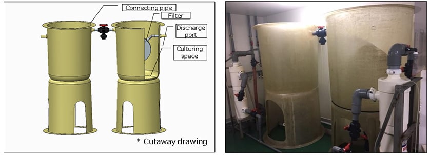 Fig. 2 High-Density Larvae Cultivation System (Left: 3D Model, Right: Water Tanks)