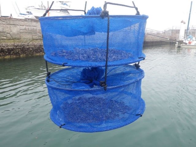 Fig. 9 Mesh Bag for Growing Oysters