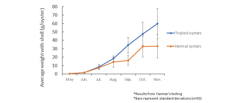 Fig. 3 Comparison of Growth Rates for Normal and Triploid Oysters