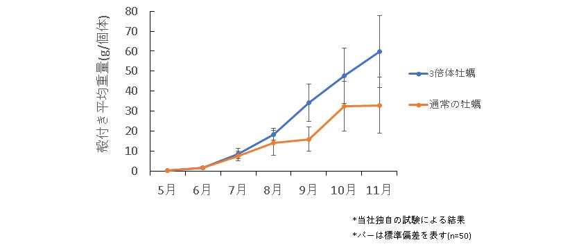 図3 通常の牡蠣と3倍体牡蠣の成長速度の比較