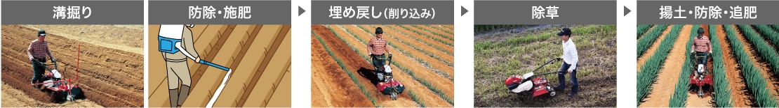 溝掘り/防除・施肥→埋め戻し（削り込み）→除草→揚土・防除・追肥