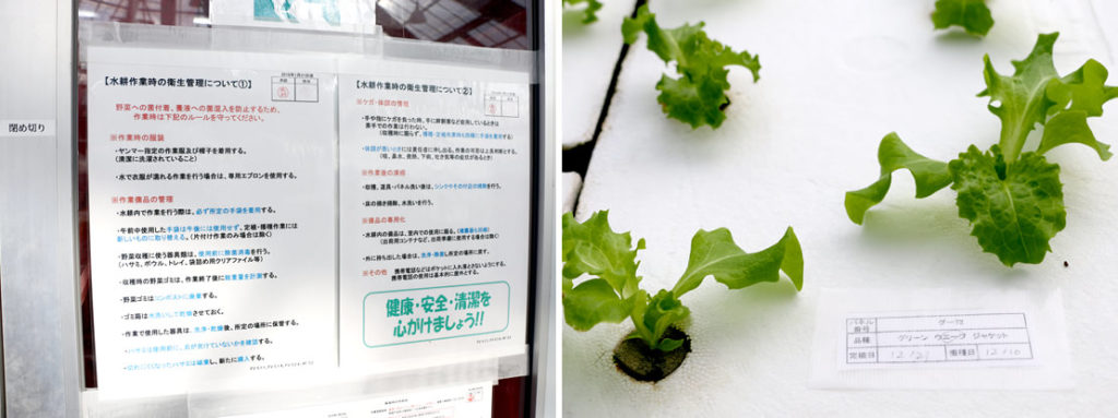 Left: At the lettuce hydroponic cultivation center, detailed rules are posted to promote sanitation. Right: All lettuce is identified with a panel number, to ensure food traceability. Information such as when the seeds were sown and when the plants were transplanted on the panel is readily available.
