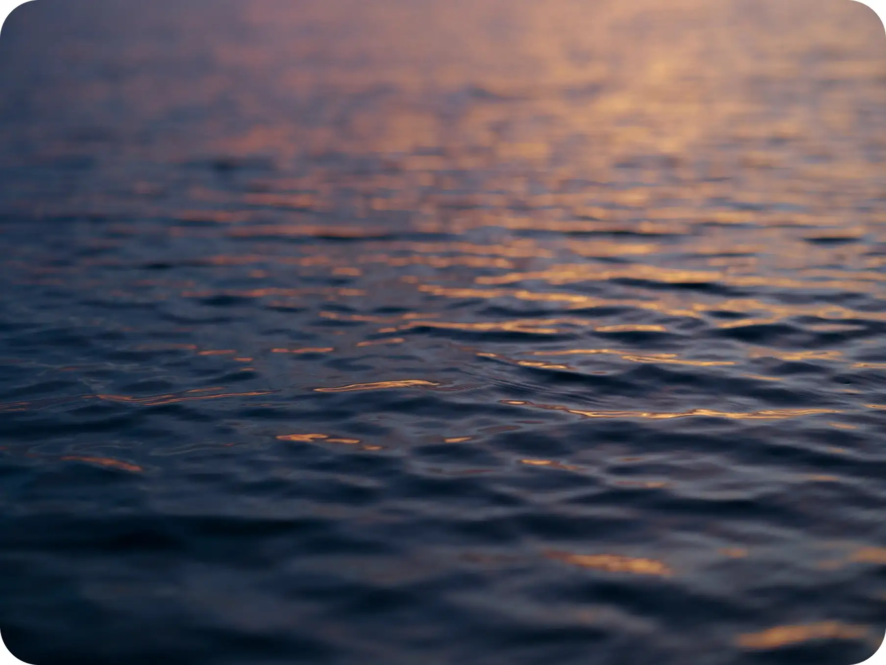 静かな琵琶湖の風景