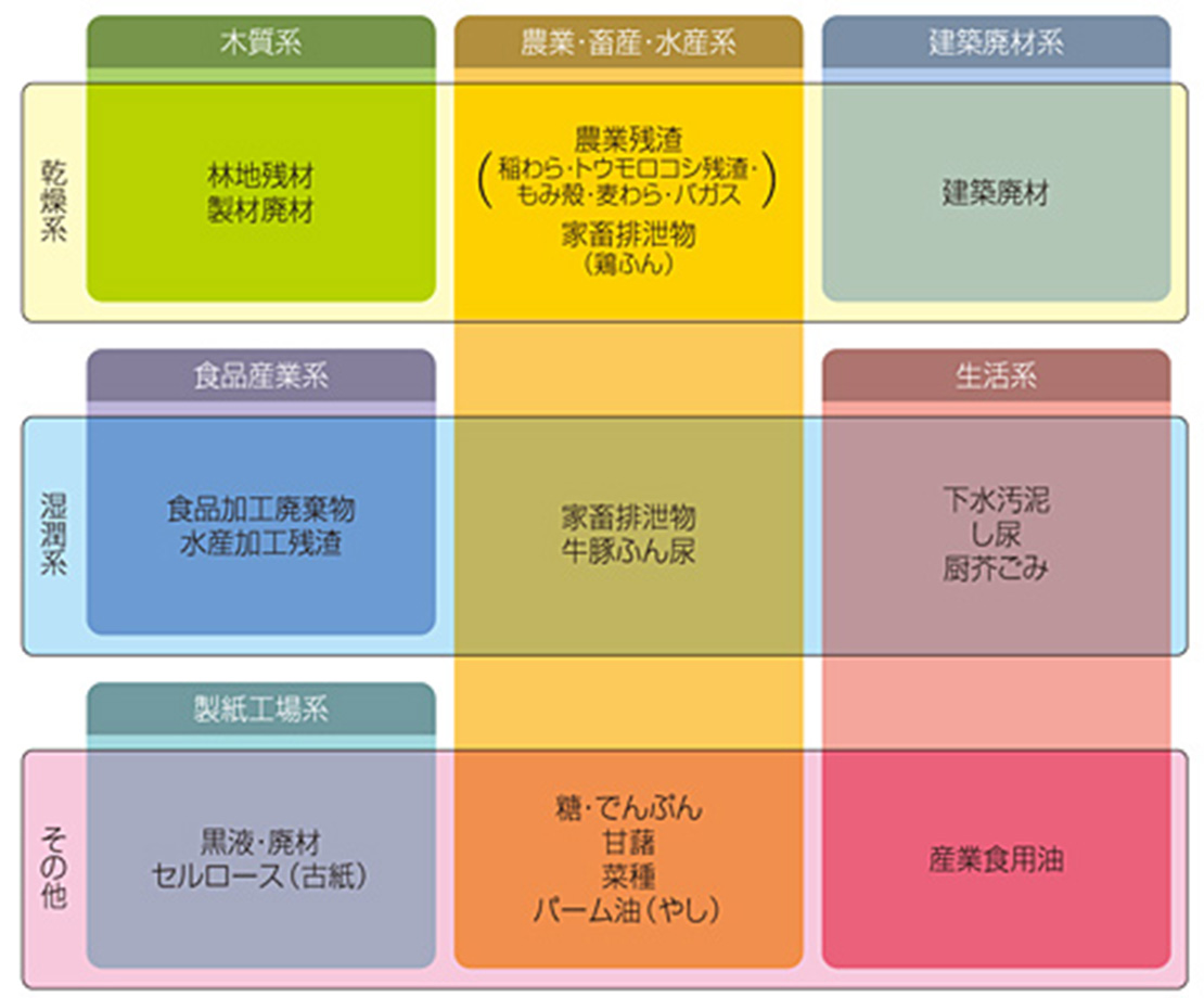 基礎からまるっとわかる！バイオマス発電の仕組み