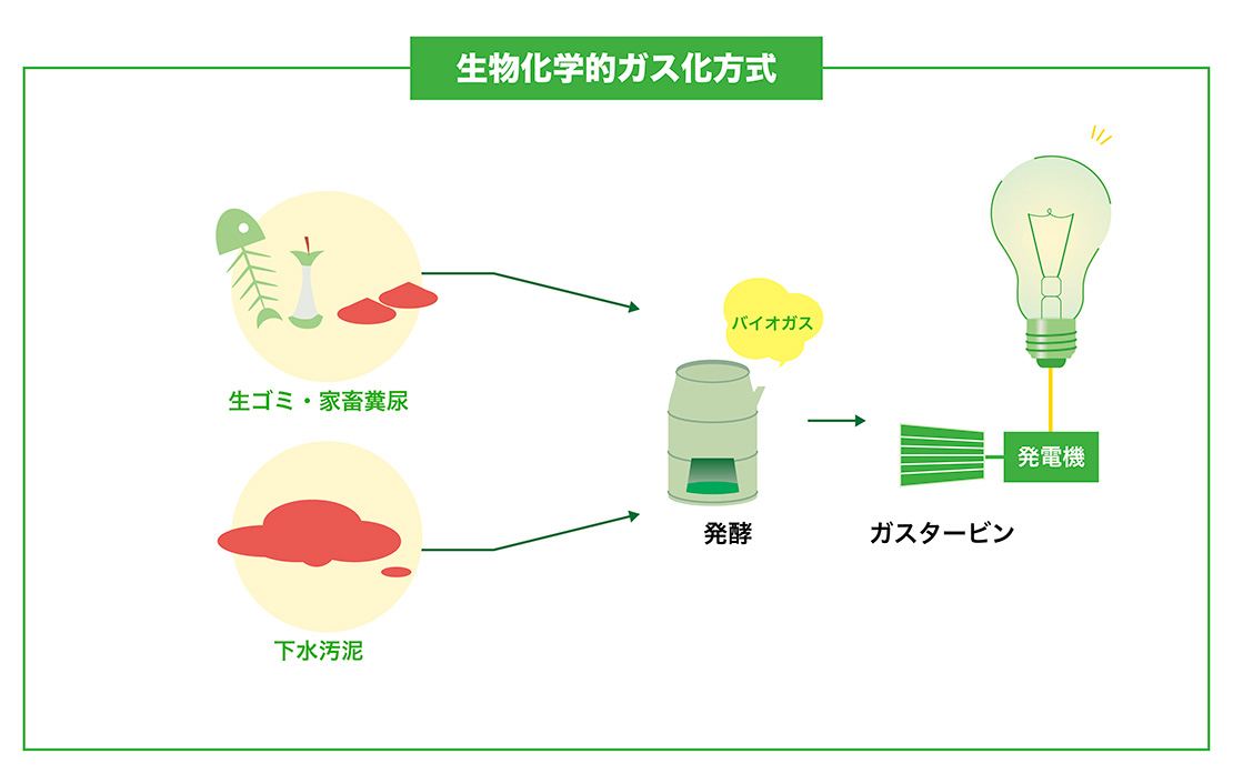 基礎からまるっとわかる！バイオマス発電の仕組み