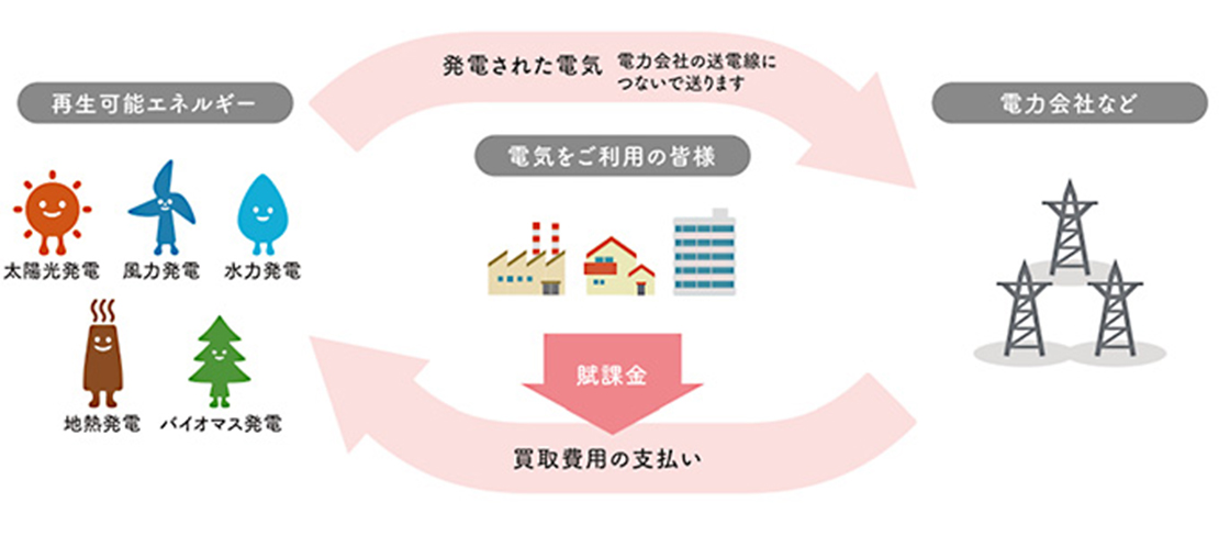 基礎からまるっとわかる！バイオマス発電の仕組み