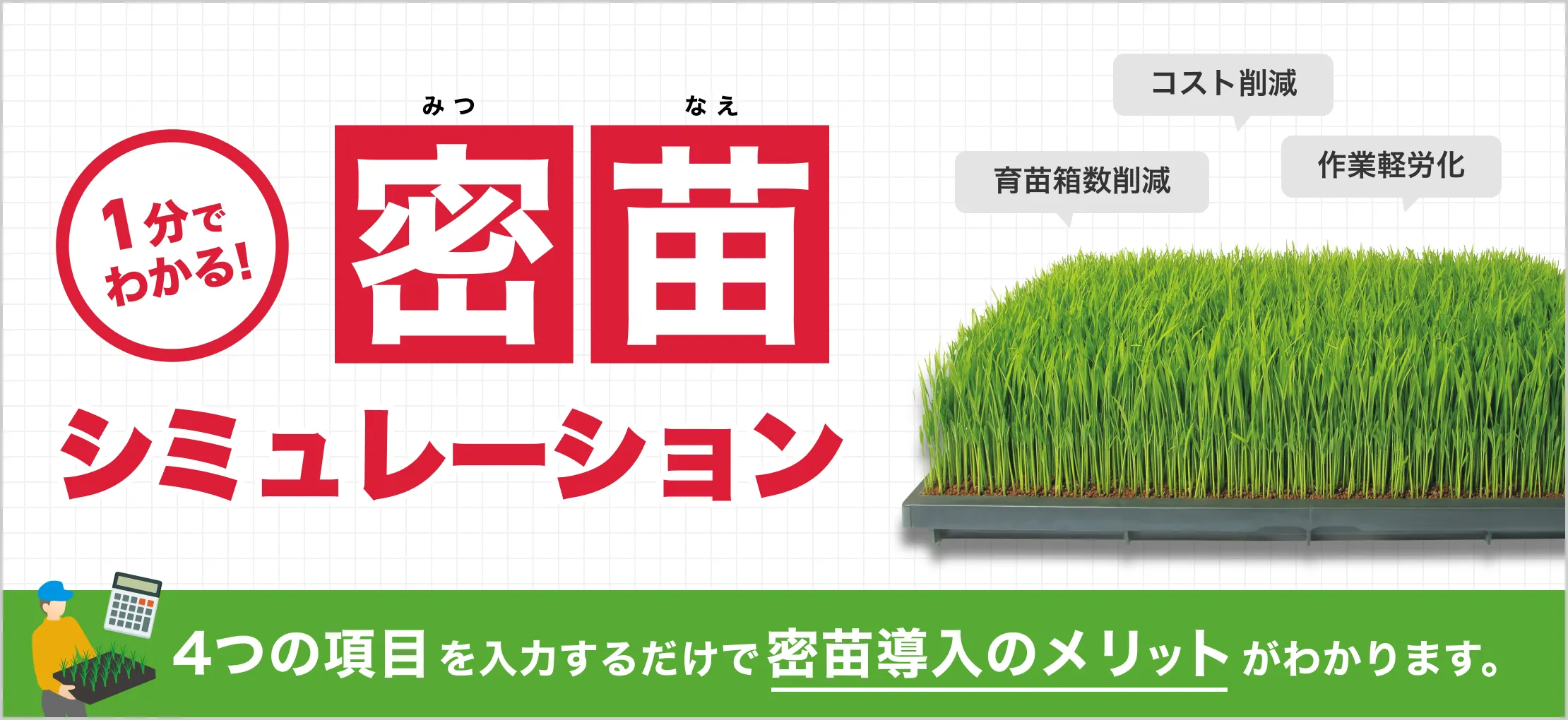 1分でわかる!密苗シミュレーション 育苗箱数削減 コスト削減 作業軽労化  4つの項目を入力するだけで密苗導入のメリットがわかります。