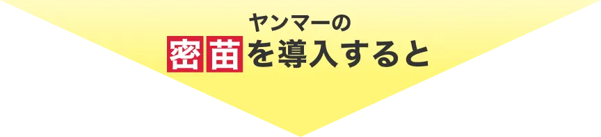 ヤンマーの密苗を導入すると