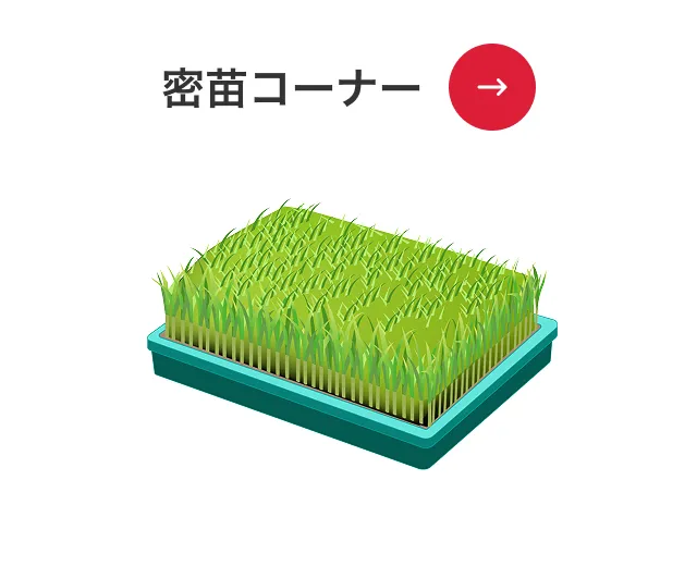 密苗コーナー