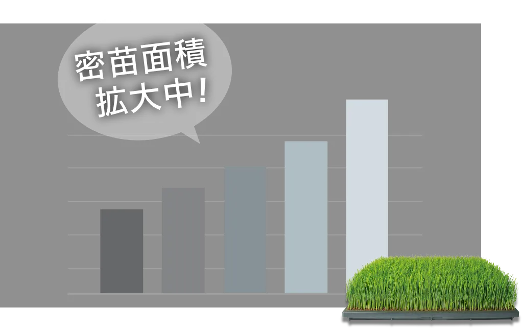 密苗面積推移