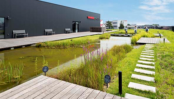 ヤンマーミュージアム　ビオトープ