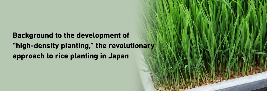 Background to the development of “high-density planting,” the revolutionary approach to rice planting in Japan