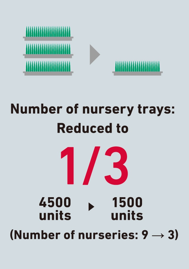 Number of nursery trays is reduced to 1/3