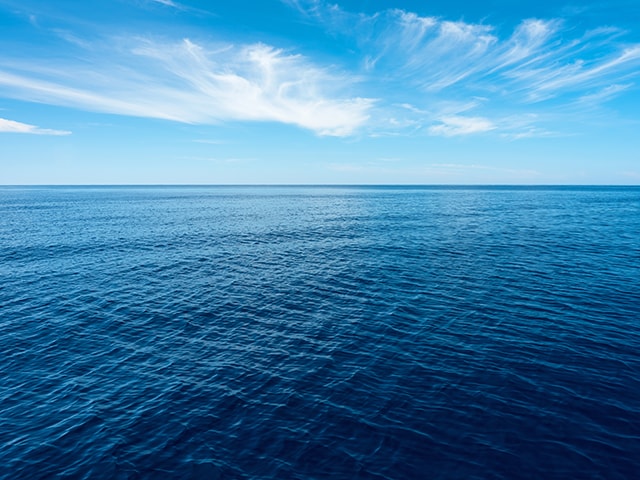 Environment/CSR｜About Us｜YANMAR