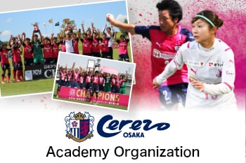 Academy Organization