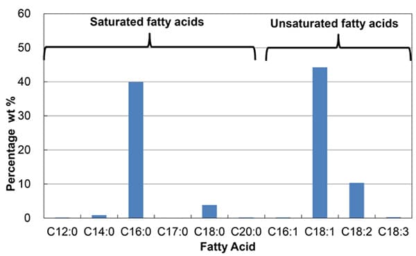 Composition of Fatty Acids in RBDPO
