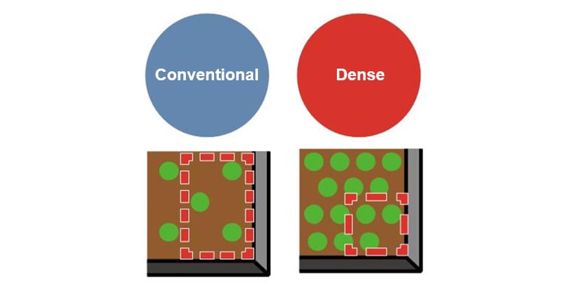 Fig. 3 Size of One Hill in Conventional and Dense Sowing