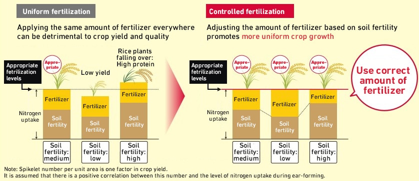 Fig. 3 Need for Controlled Fertilization