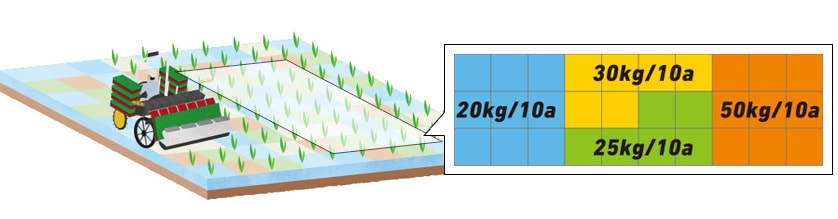 Fig. 5 Example Fertilization Map