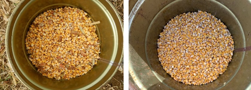 Fig. 10 Harvested Corn (Left: Standard Header, Right: Corn Header)