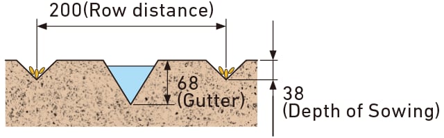 Row distance 200, Gutter 68, and Depth of Sowing 38