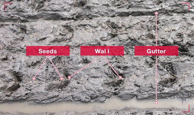 Seeds, Wall, and Gutter