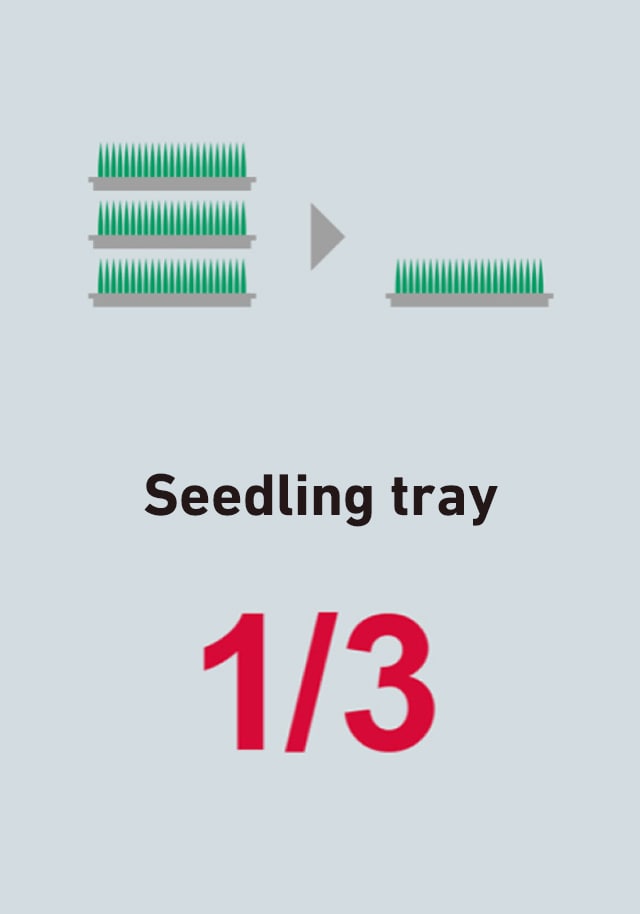 Seedling tray 1/3