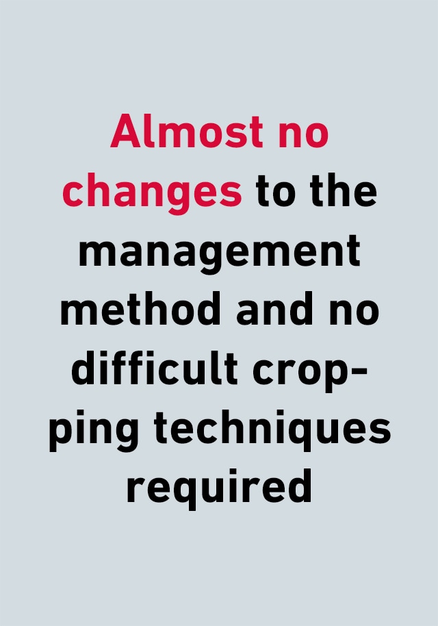 Almost no changes to the management method and no difficult cropping techniques required
