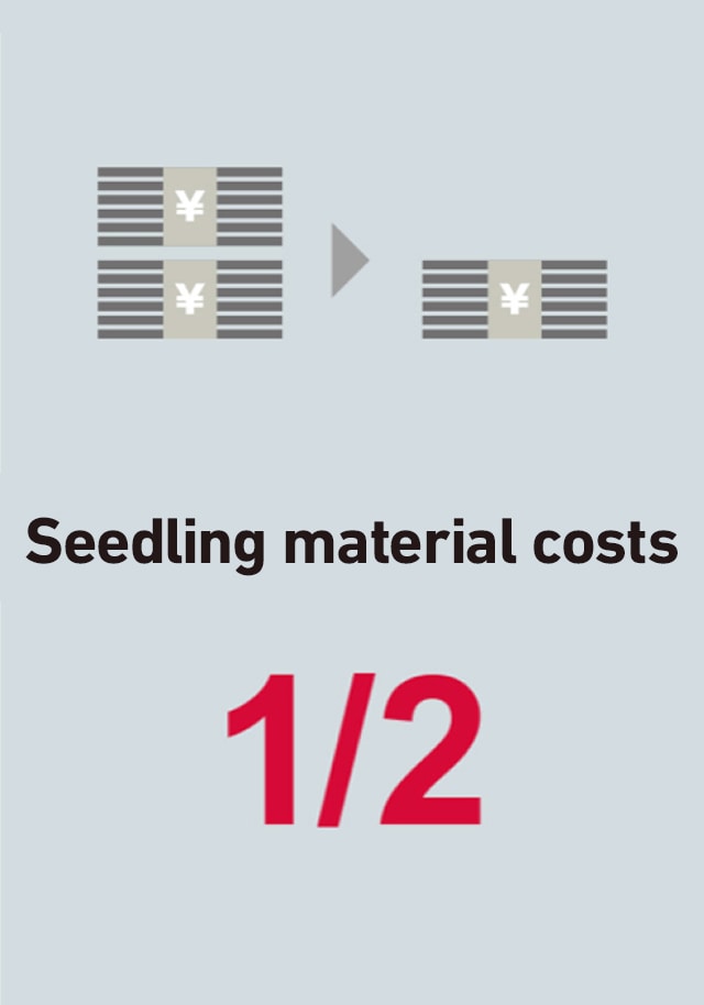 Seedling material costs 1/2