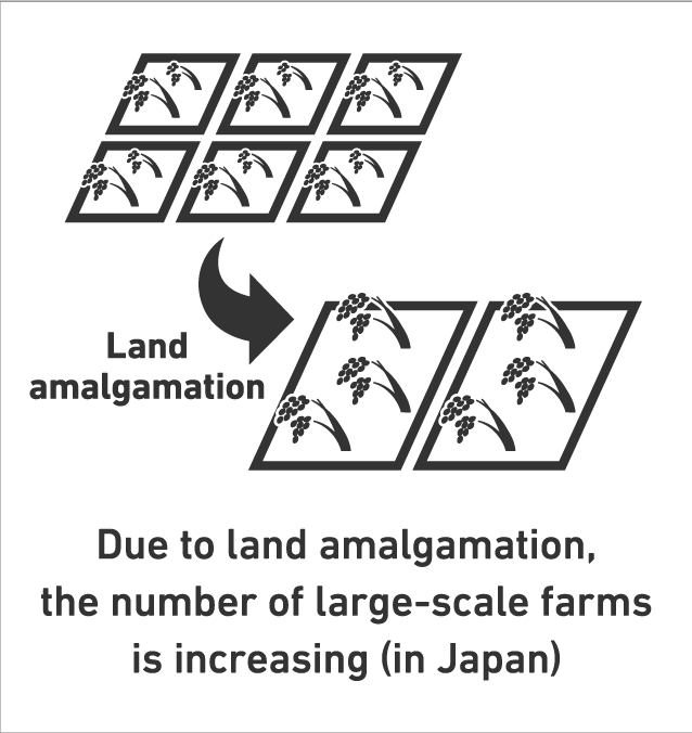 Due to land amalgamation, the number of large-scale farms is increasing (in Japan)