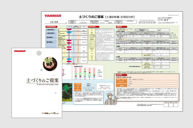 Your Soil Test Report