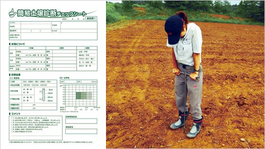 Basic Soil Test