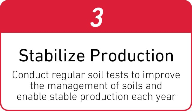 3. Stabilize Production Conduct regular soil tests to improve the management of soils and enable stable production each year
