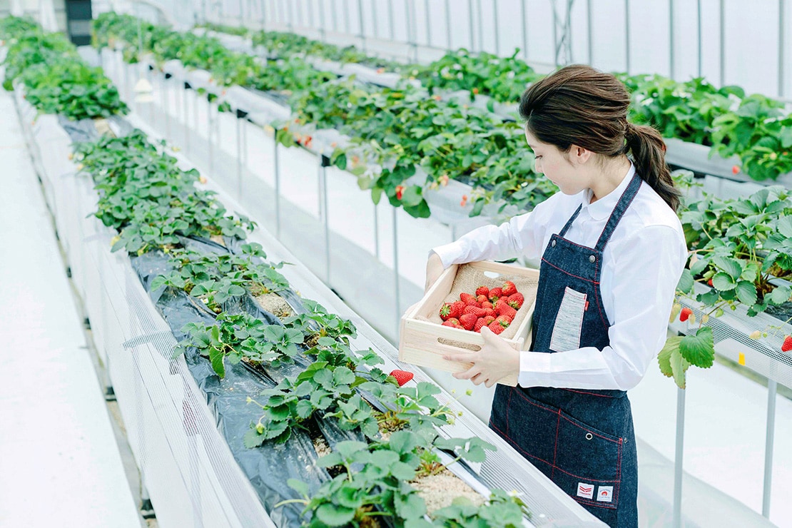 エプロン着用例