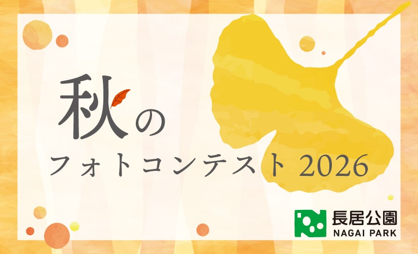秋のフォトコンテスト2026