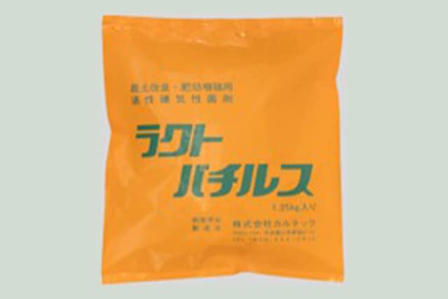 ラクトバチルス画像