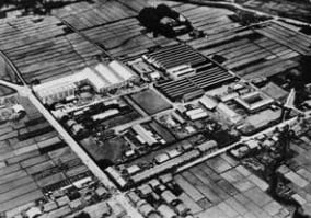 長浜工場（1953ごろ）