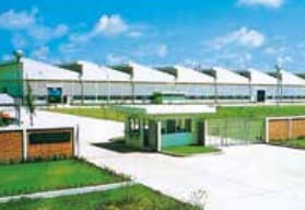 ヤンマータイランド