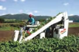 野菜関連商品