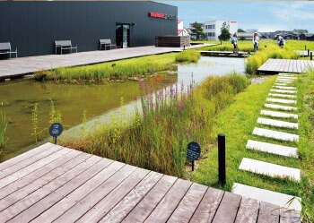 大地を表現した屋上ビオトープ