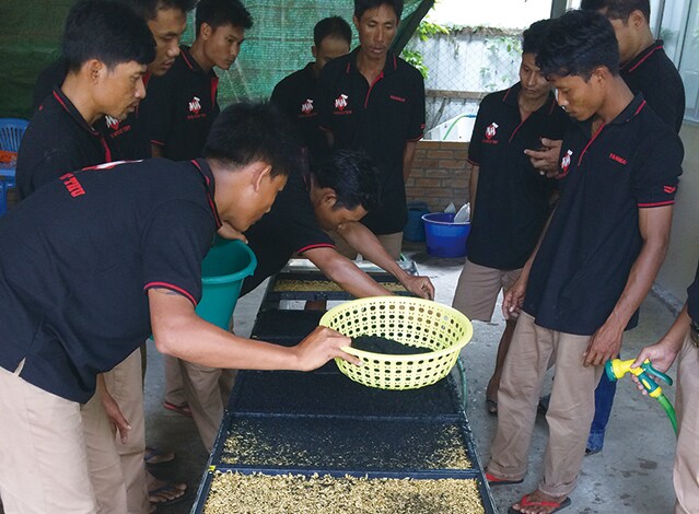 ミャンマーでの育苗指導