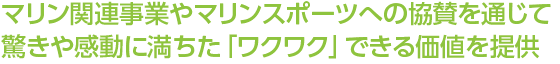マリン関連事業やマリンスポーツへの協賛を通じて驚きや感動に満ちた「ワクワク」できる価値を提供