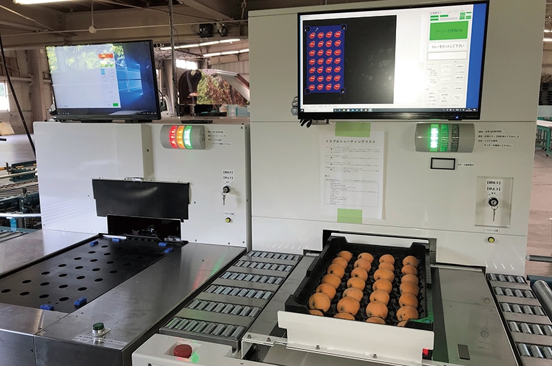 びわの外観・重量・内部品質計測システム