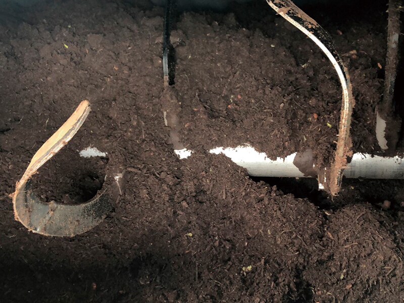 食品廃棄物の処理後1時間