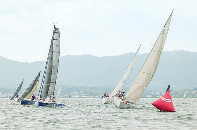 ヤンマーカップ写真