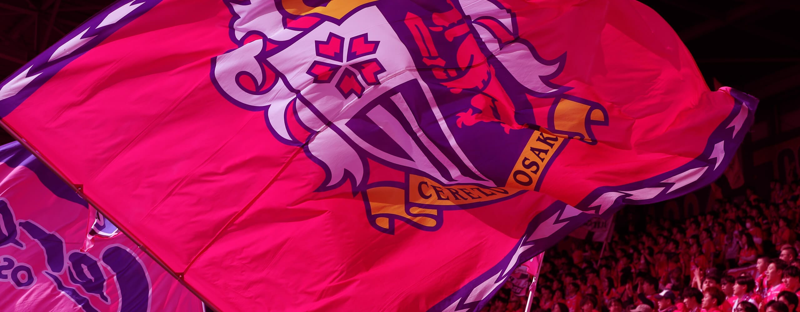 Cerezo OSAKA YANMAR LADIES
