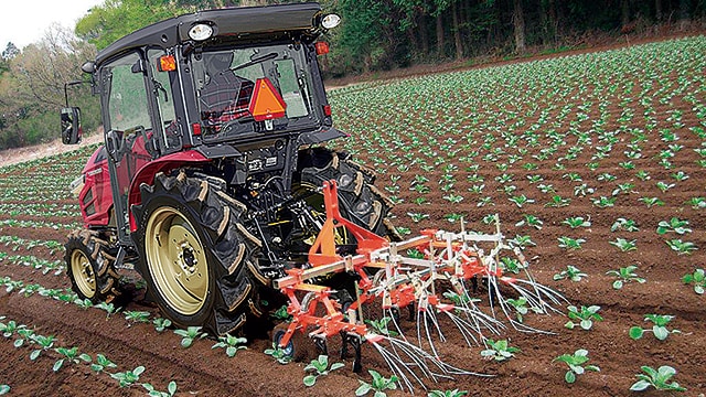 中耕・追肥・培土｜ブロッコリー｜野菜の作業おたすけ帳｜営農情報