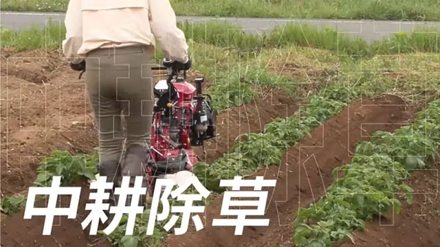 はたかん またがる君 キャベツ中耕 はたかん またがる君 キャベツ中耕