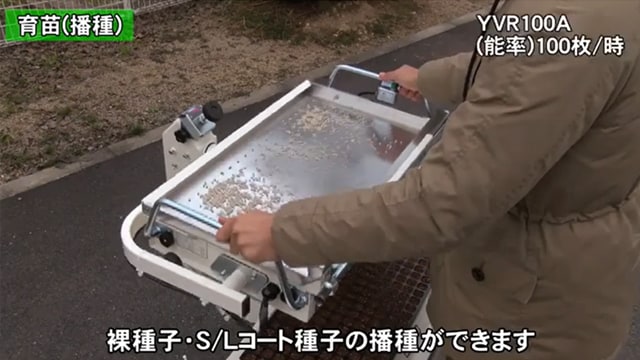 育苗｜キャベツ｜野菜の作業おたすけ帳｜営農情報 営農PLUS｜農業
